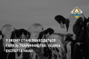 У якому стані знаходиться галузь тваринництва: оцінка експерта НААН У якому стані знаходиться галузь тваринництва: оцінка експерта НААН